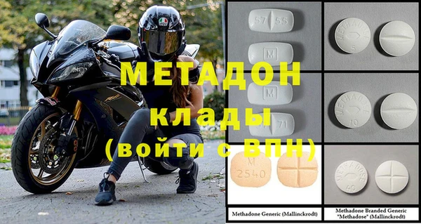 шишки Тында
