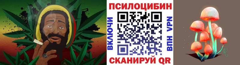Галлюциногенные грибы ЛСД  хочу   Нефтекумск 